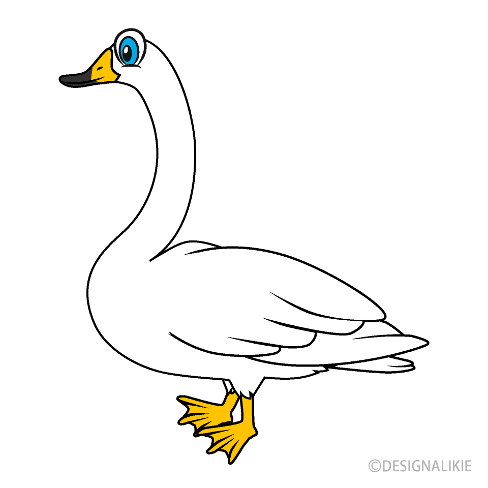 Swan