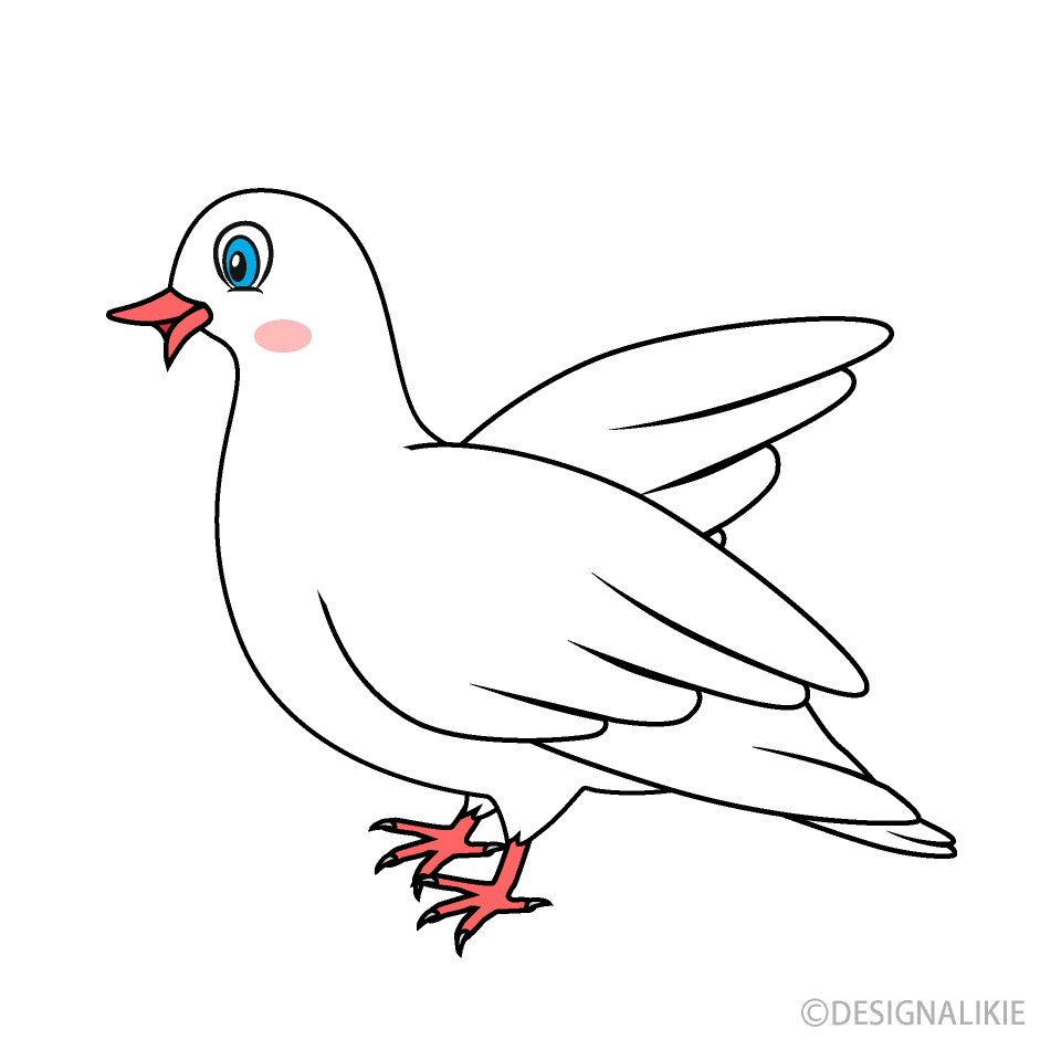 White Dove