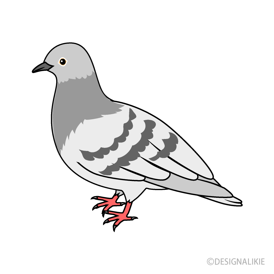 Dove