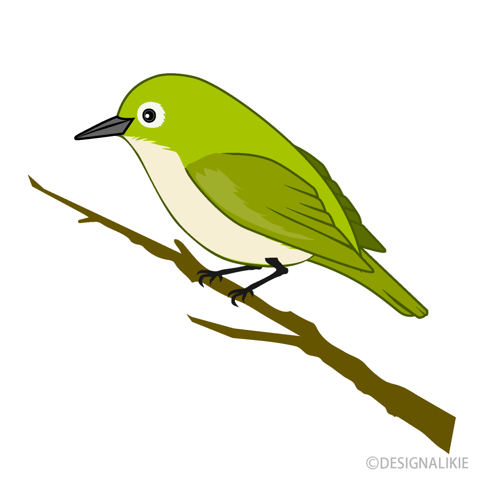 Green Bird