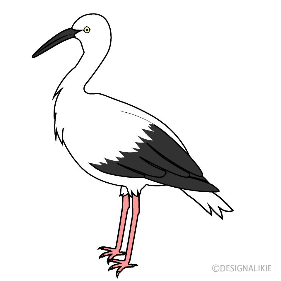 Stork