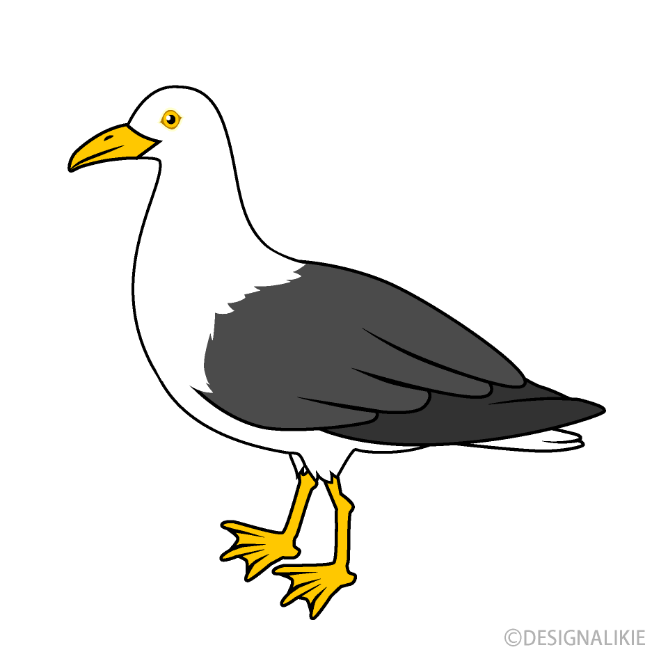 Albatross