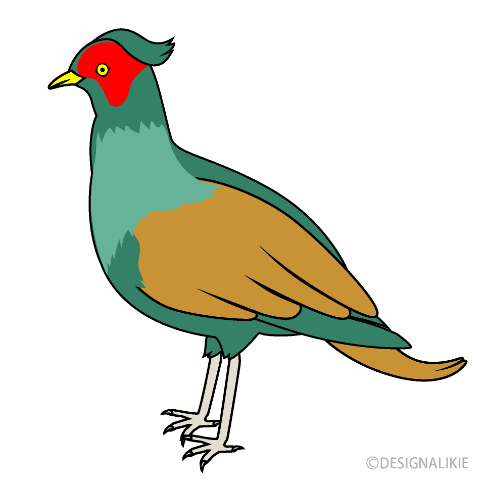 Pheasant