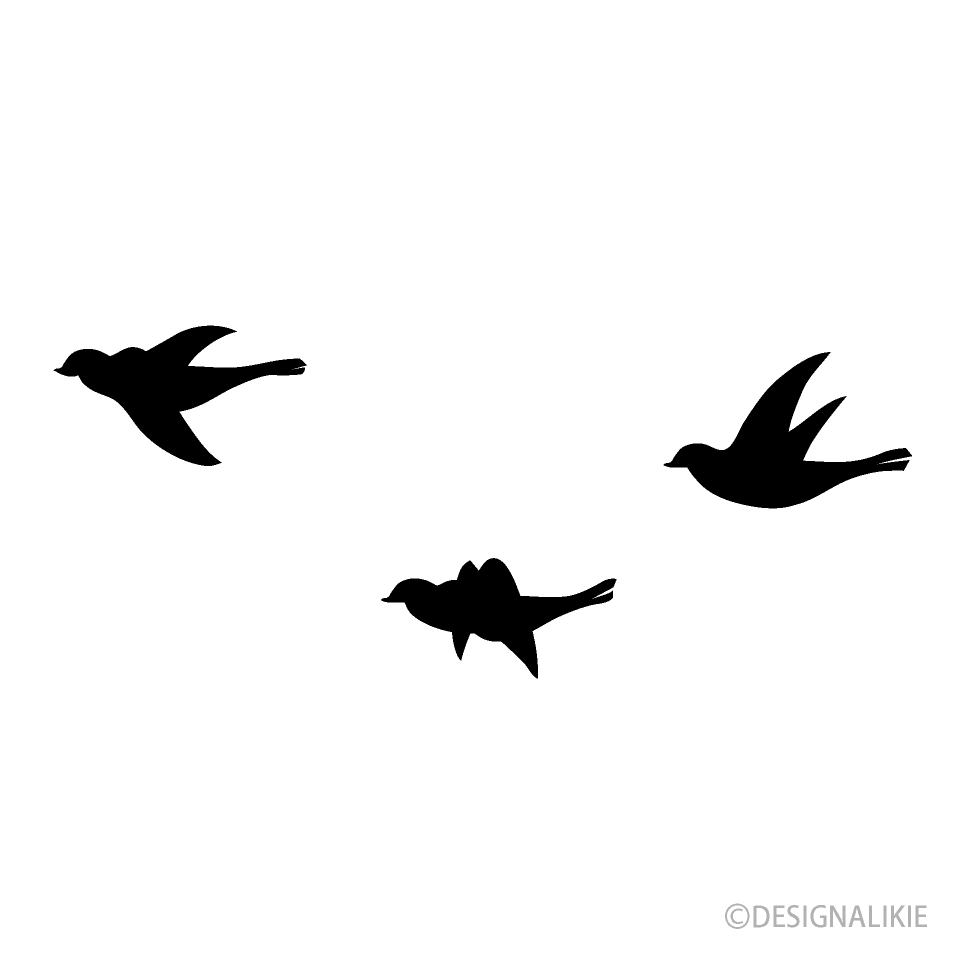 Flying Birds Black and White