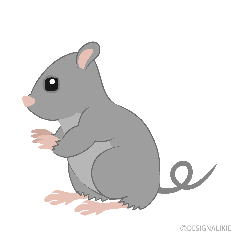 Sitting Mouse