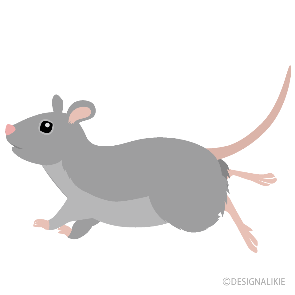 Running Mouse