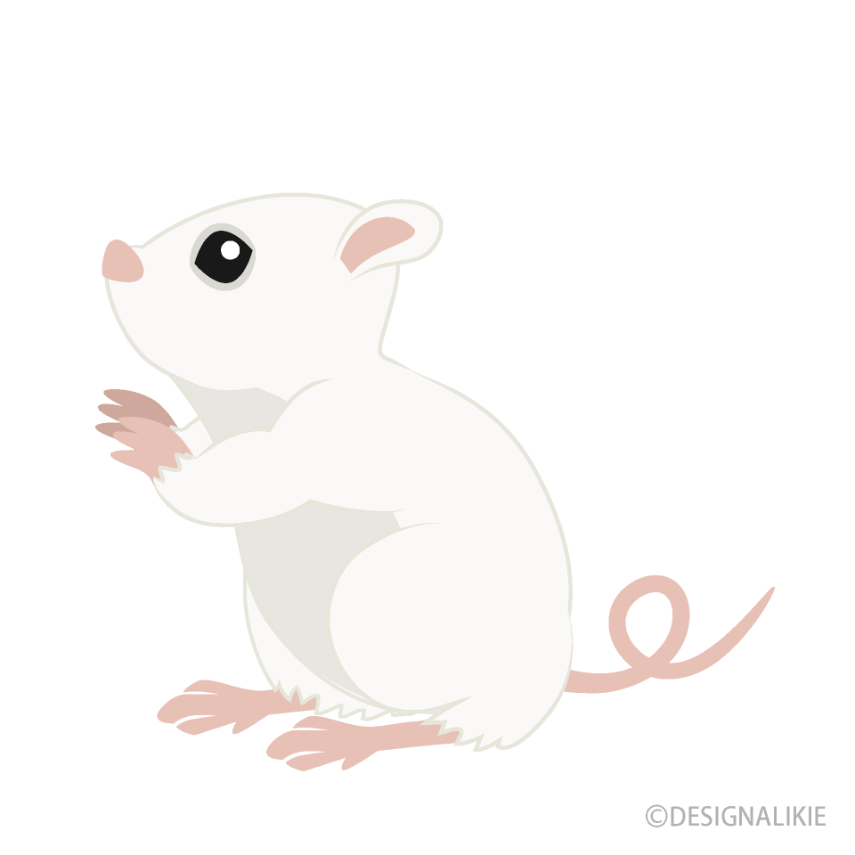 Looking up White Mouse