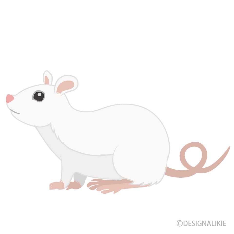 White Mouse