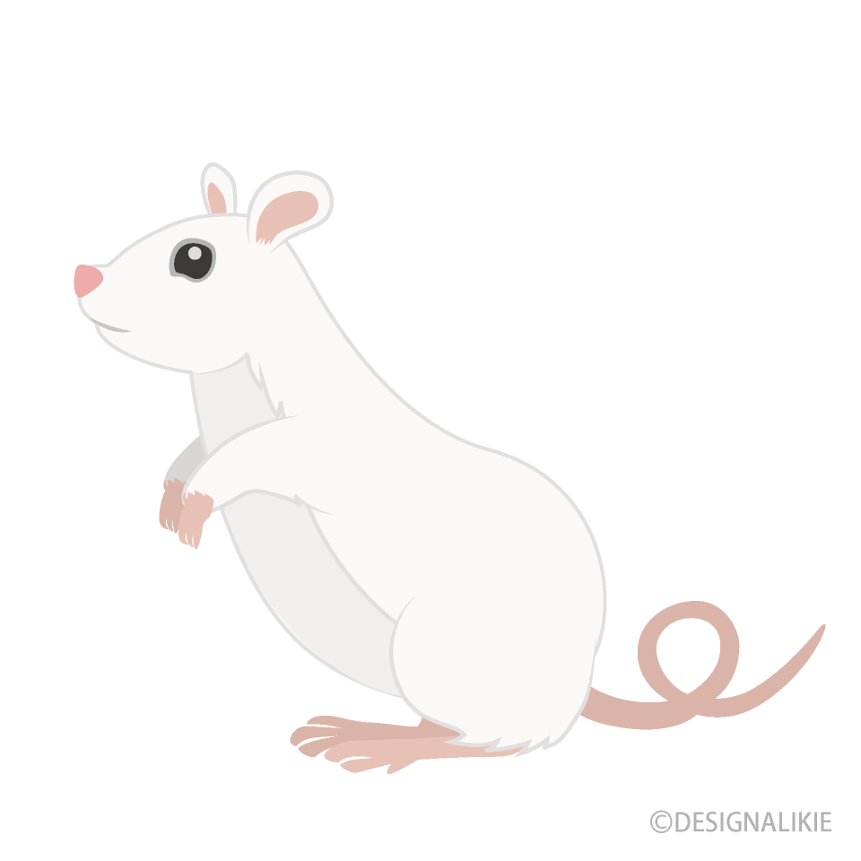 Standing White Mouse