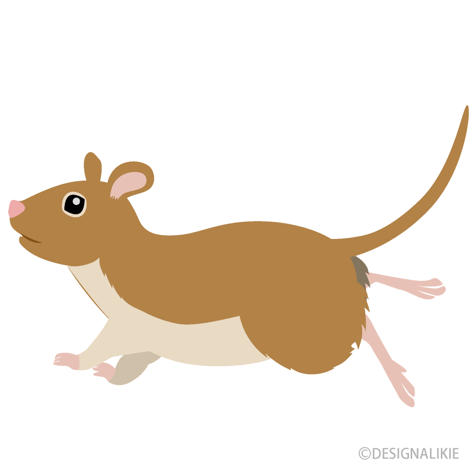 Running Brown Mouse