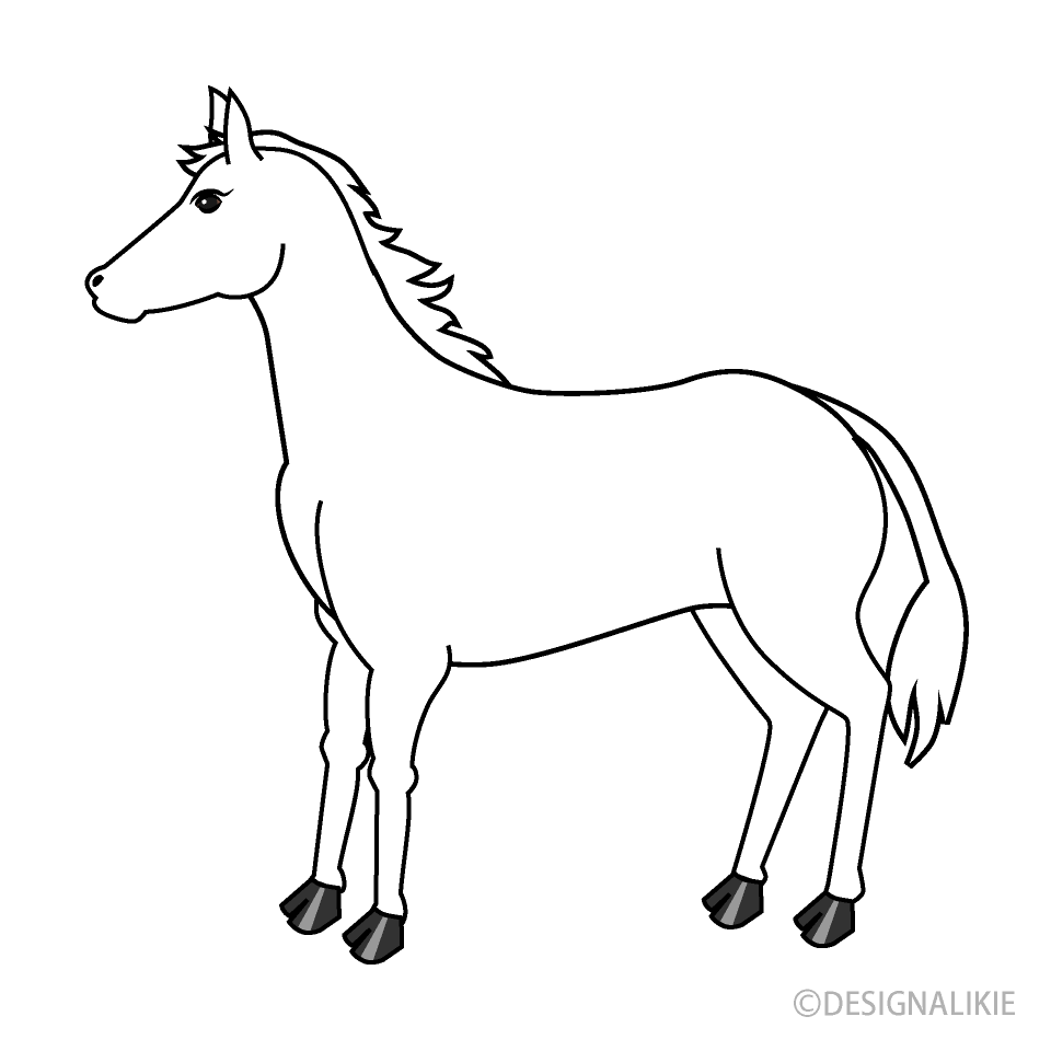 Caballo blanco