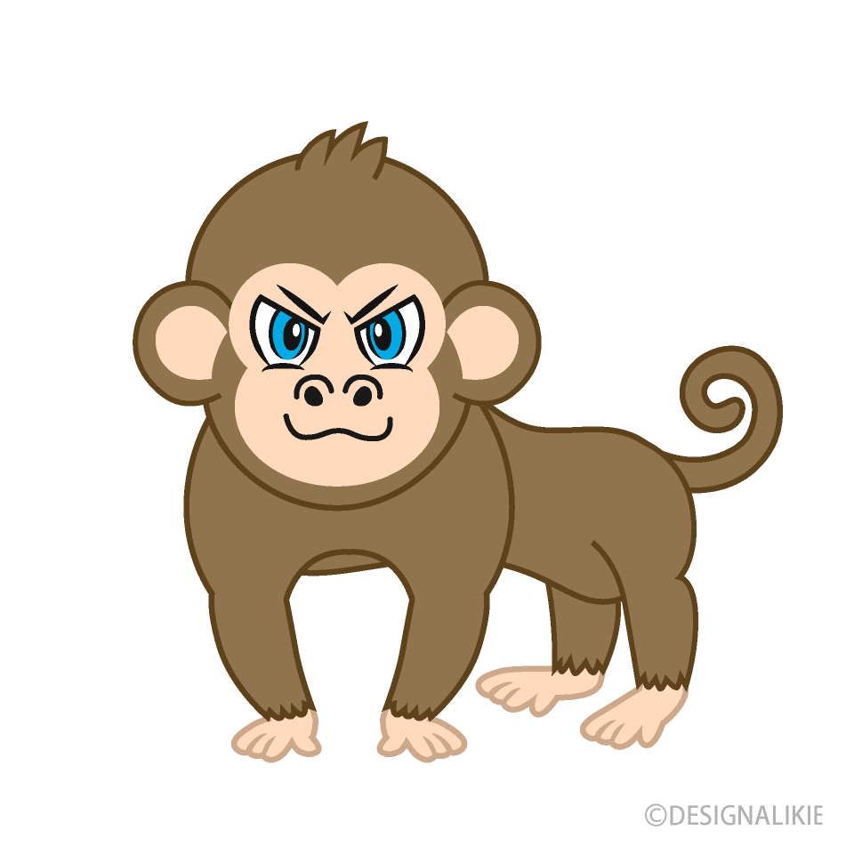 Cool Monkey