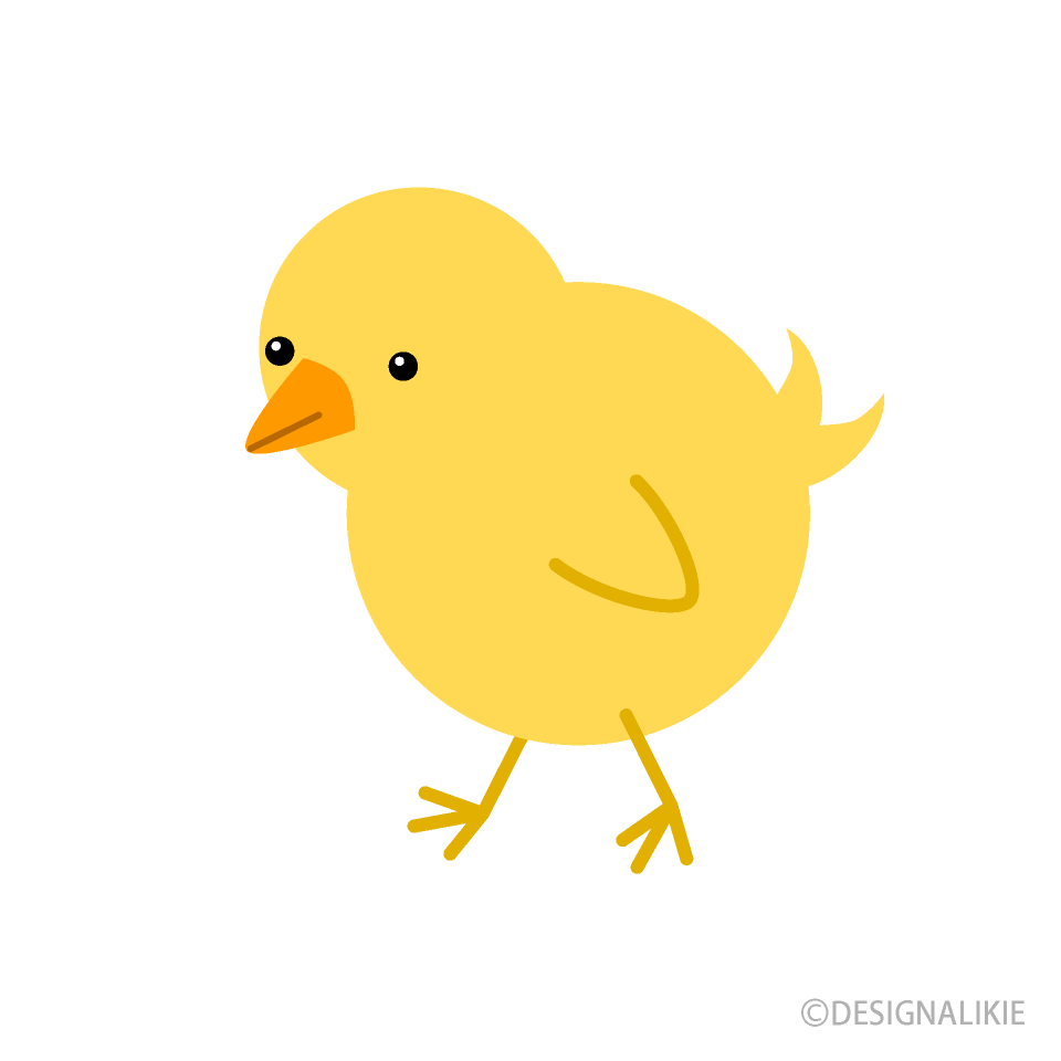 Chick