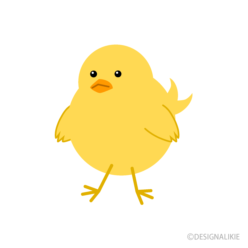 Cute Chick