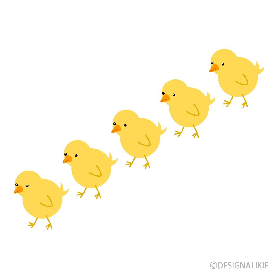 Pollitos caminando en fila