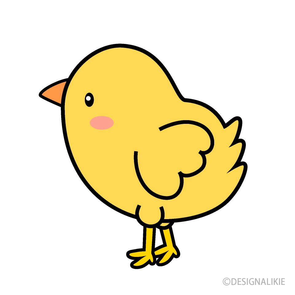 Cute Chick