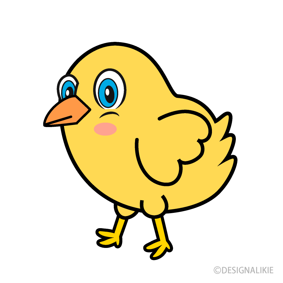 Chick