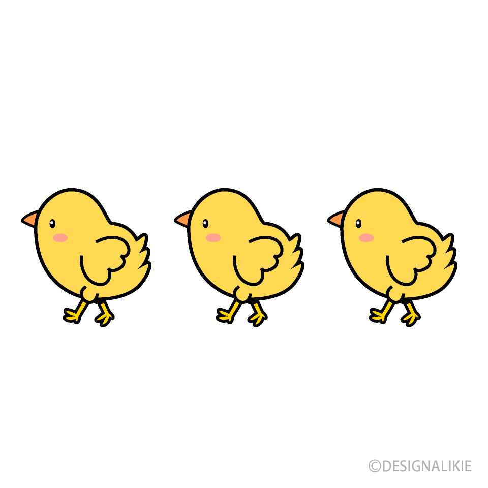 Three Chicks