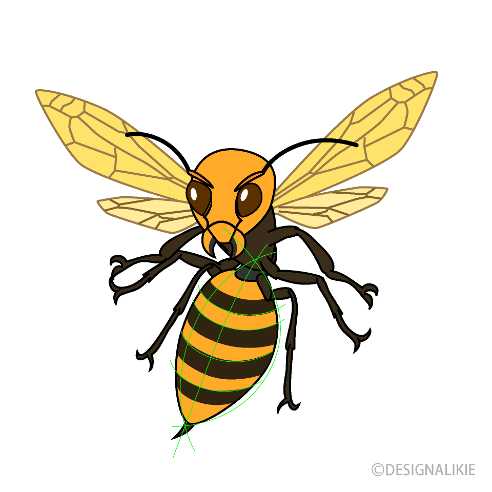 Aggressive Wasp