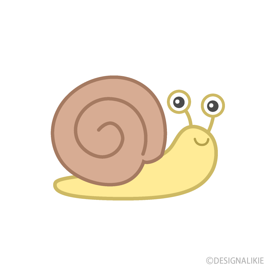 Caracol plano