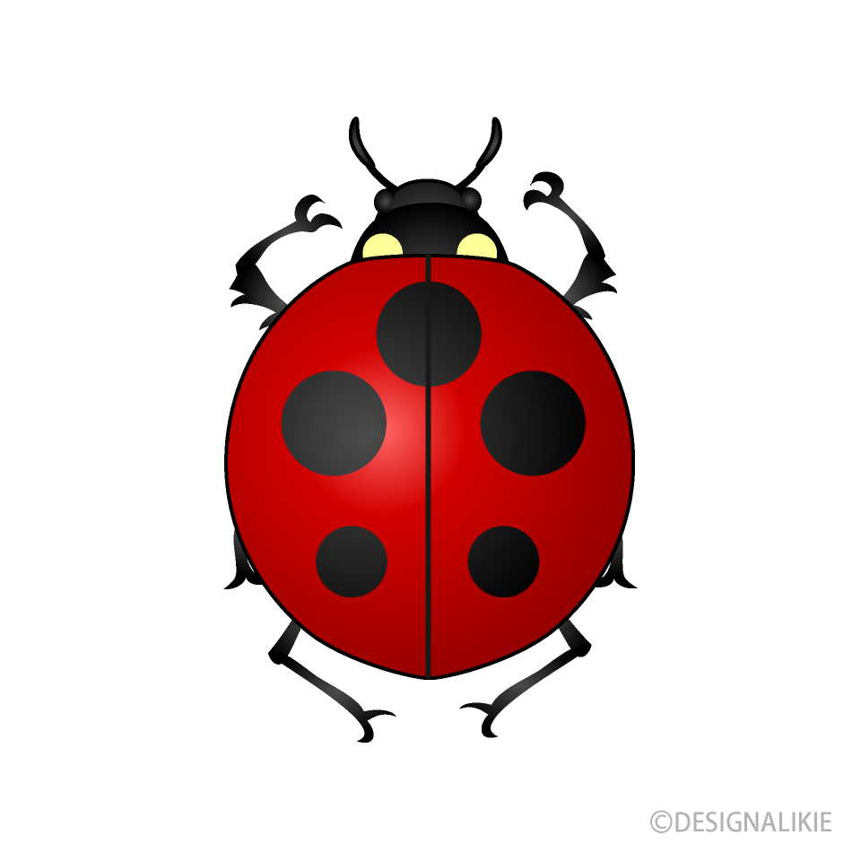 Ladybug