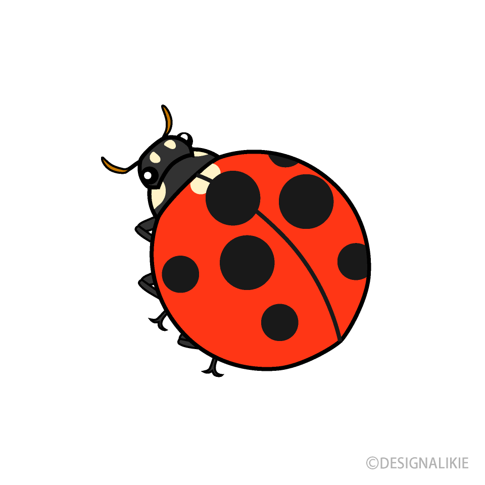 Ladybug