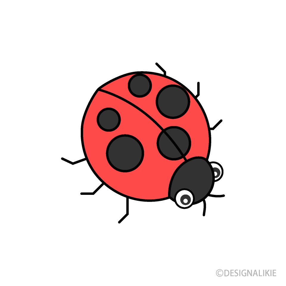 Red Ladybug