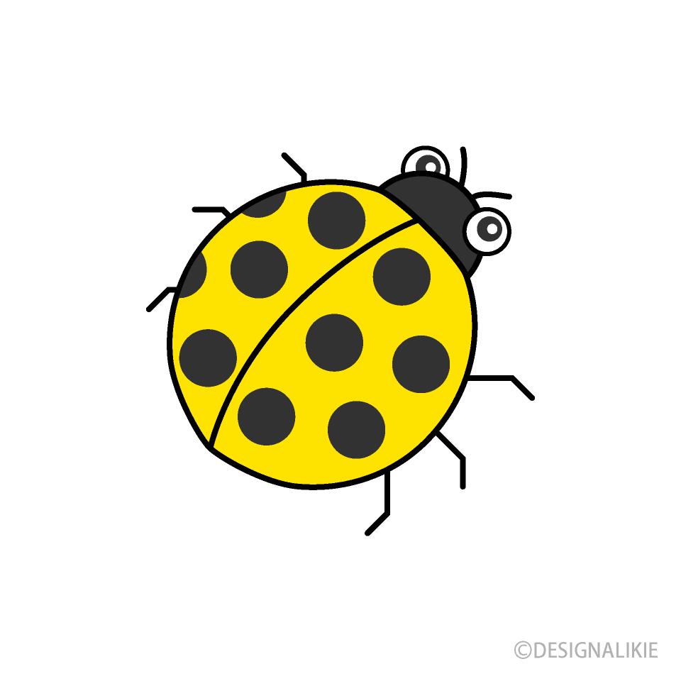 Yellow Ladybug