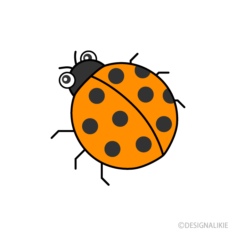 Orange Ladybug