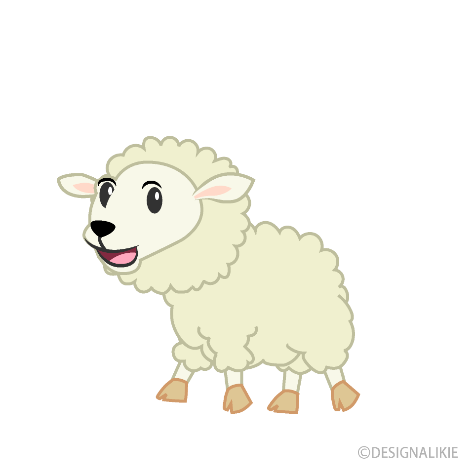 Sheep