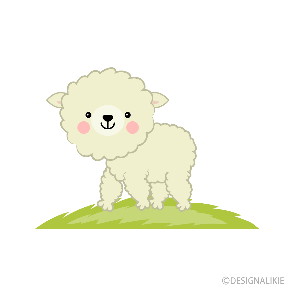 Cute Sheep