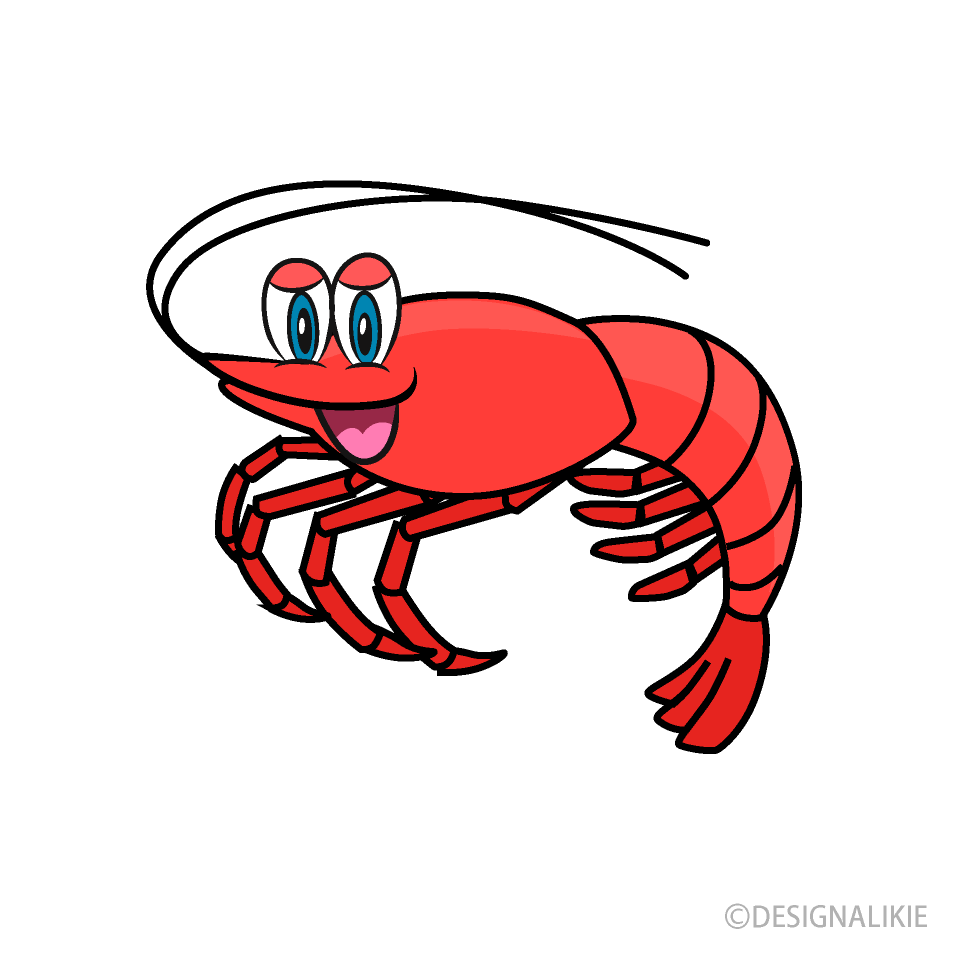 Shrimp