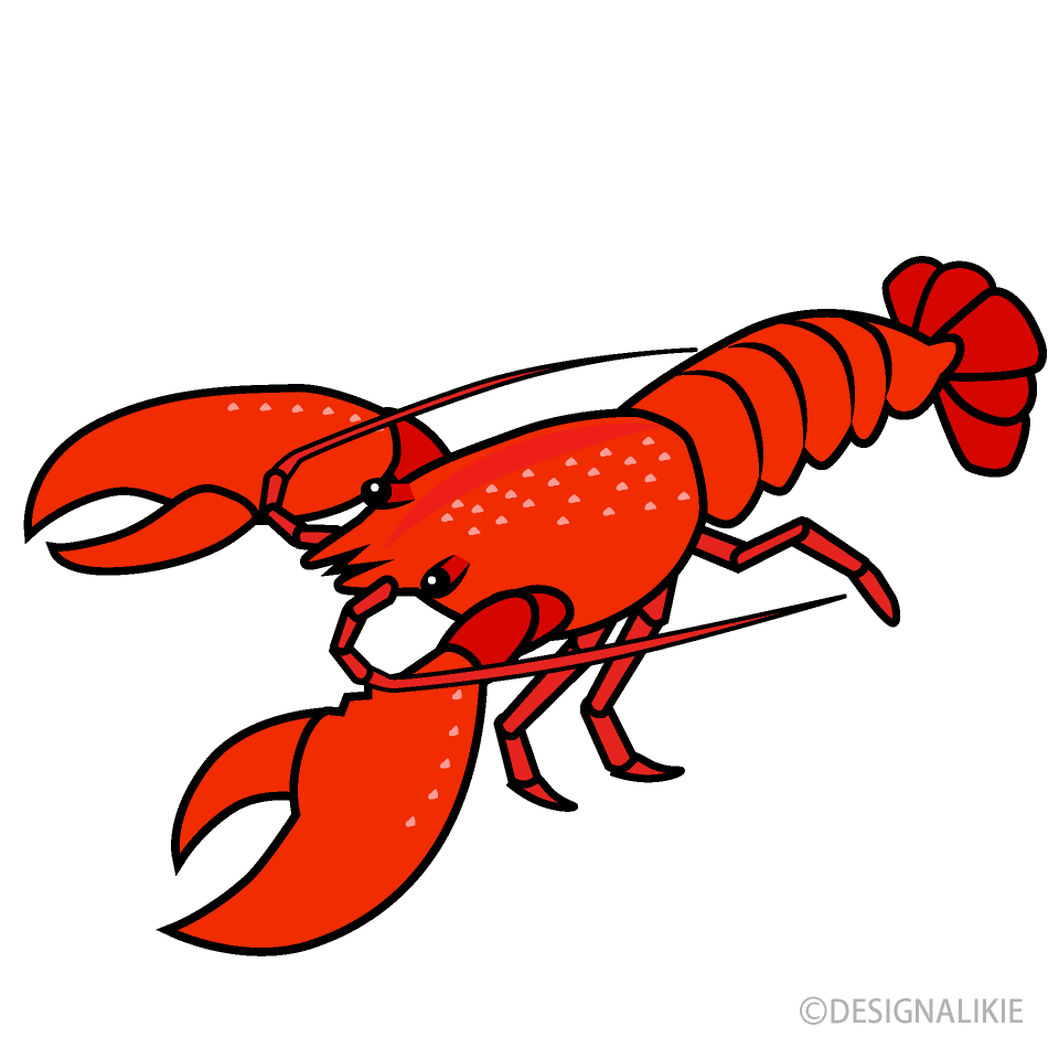 Lobster