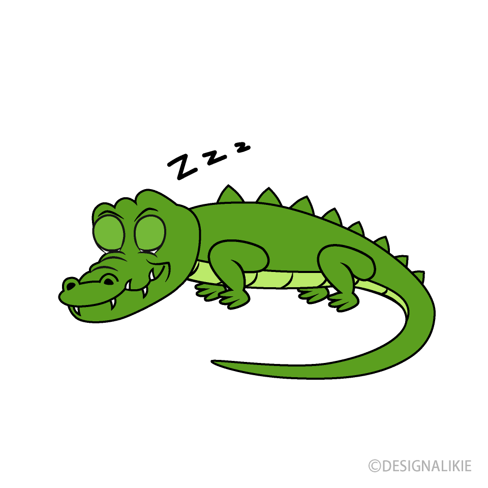Cocodrilo durmiendo