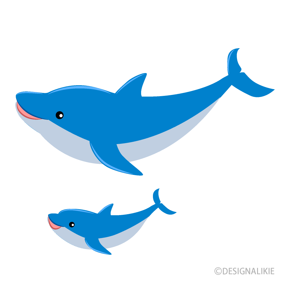 Dolphin of Parent and Child