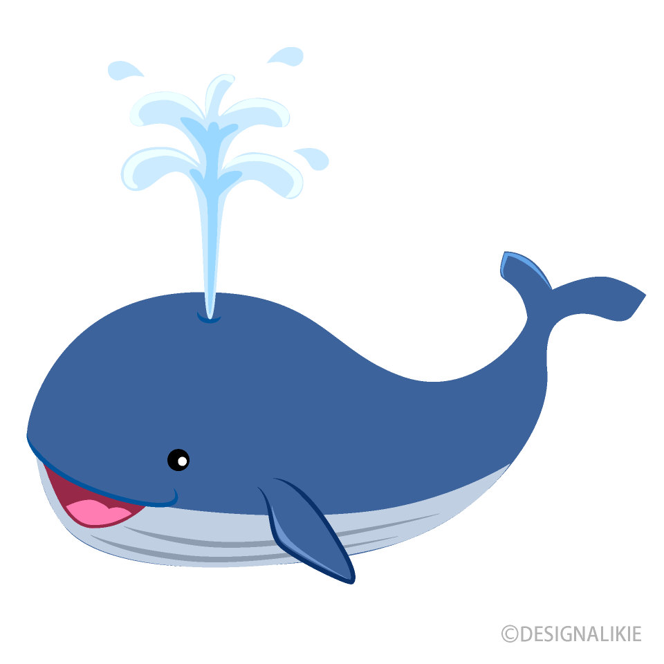 Cute Whale