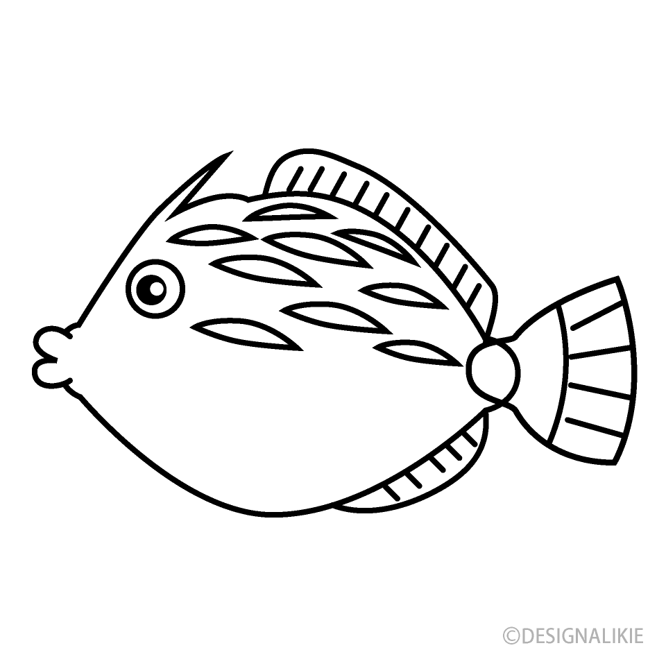 Filefish Black and White