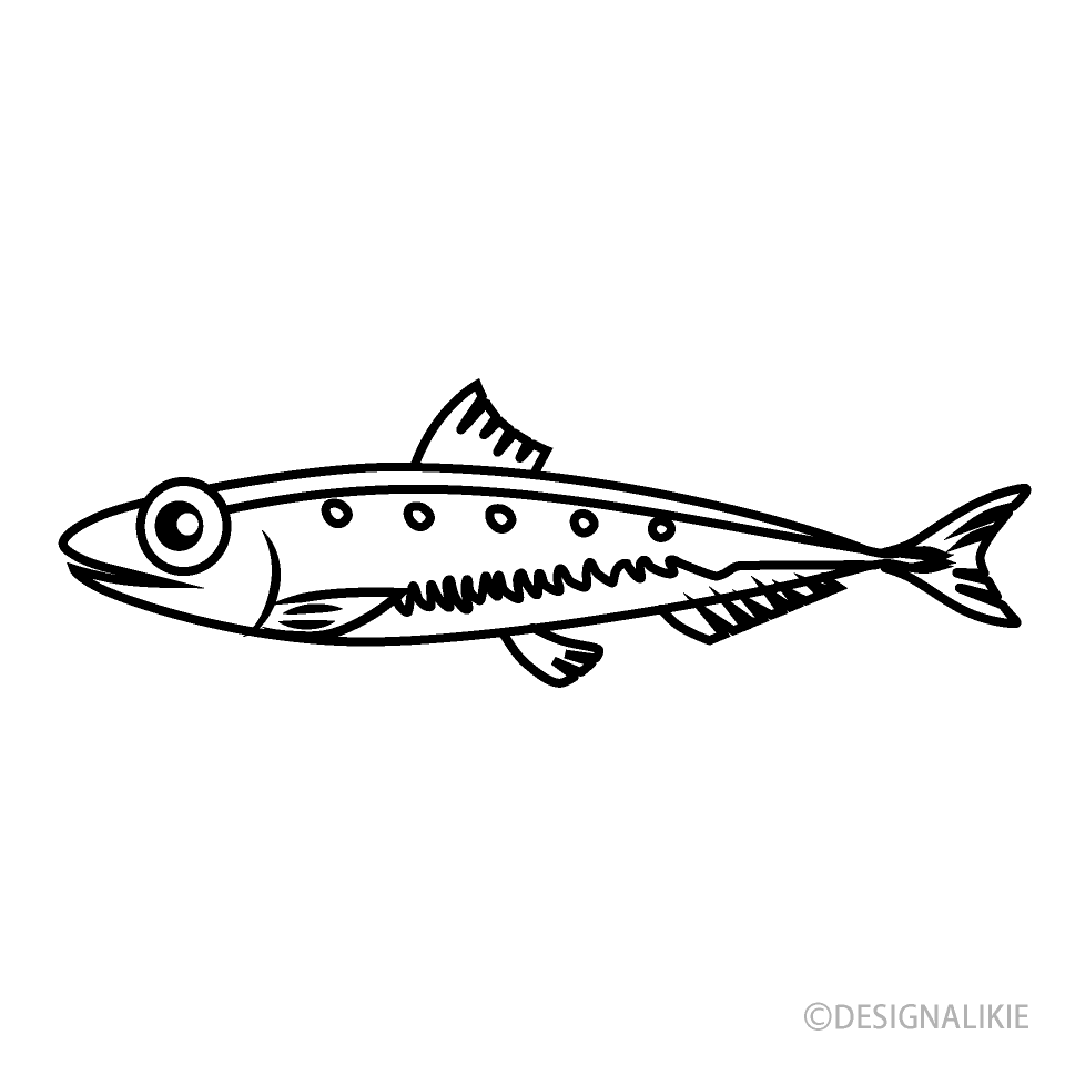 Sardine Black and White