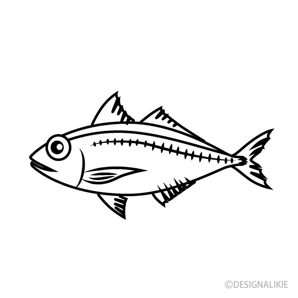 Horse Mackerel Black and White