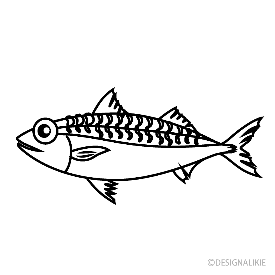 Mackerel Black and White