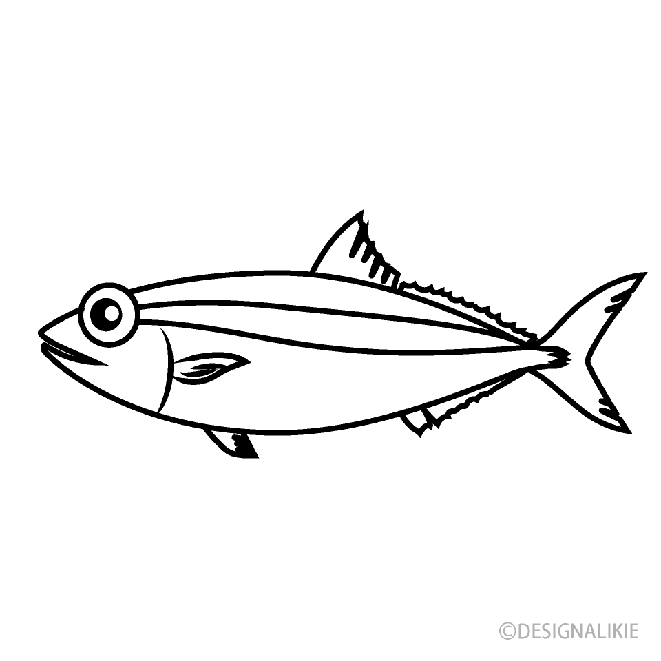 Yellowtail Black and White