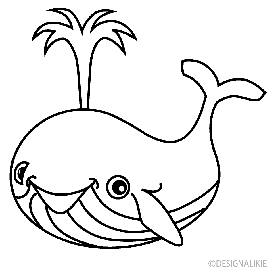 Ballena Blanco y Negro