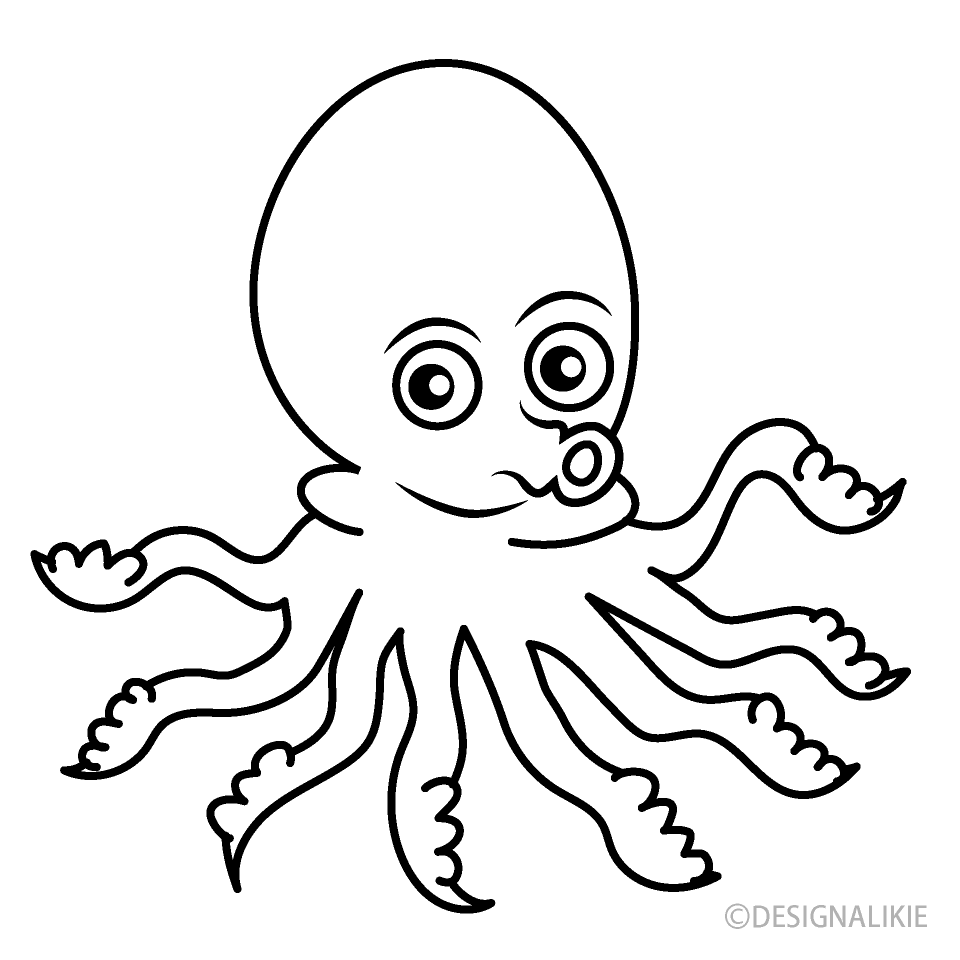 Pulpo Blanco y Negro