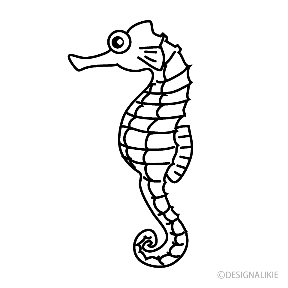 Seahorse Black and White