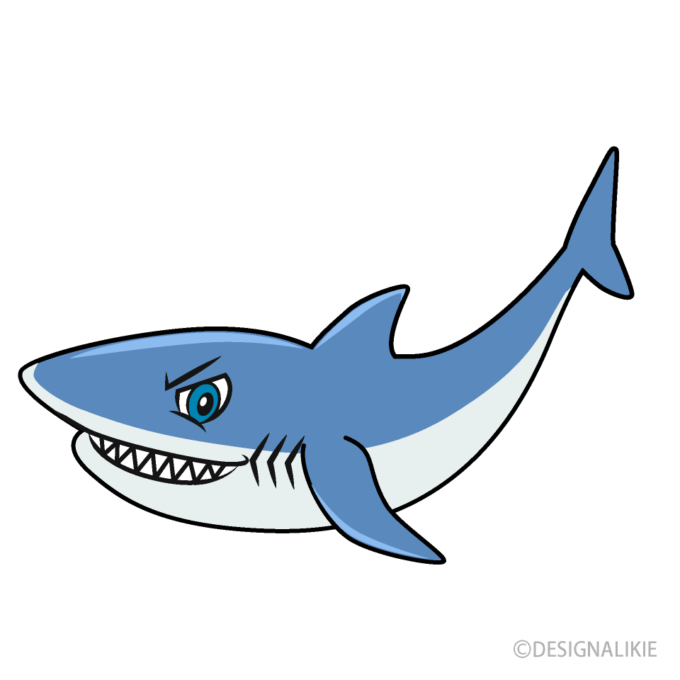 Cool Shark