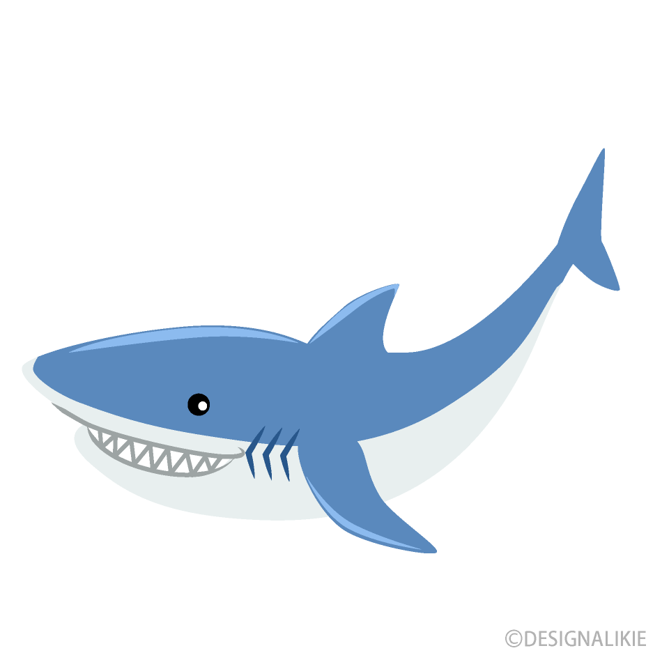 Cute Shark