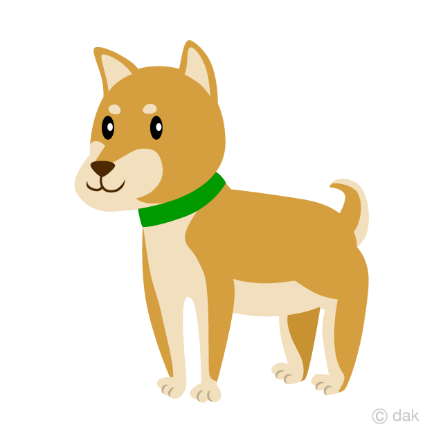 Shiba Inu