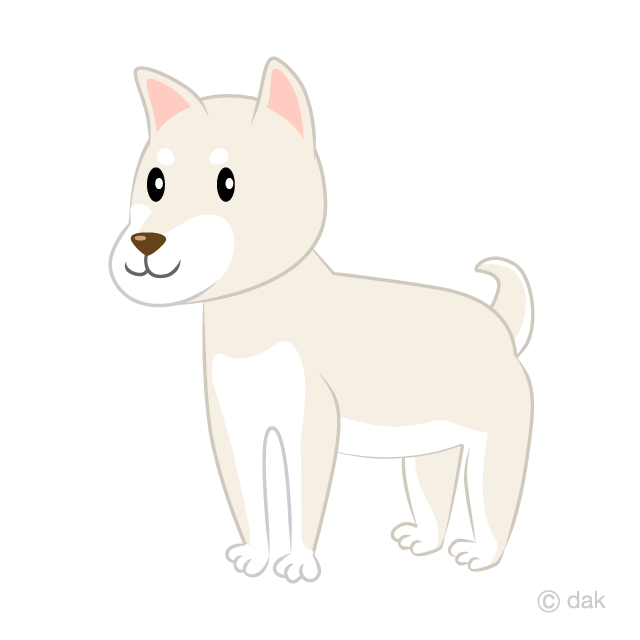 White Shiba Inu