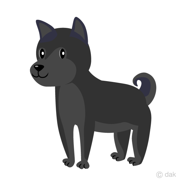 Perro negro