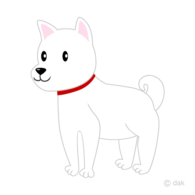 White Dog